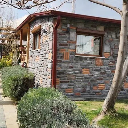 Lejlighed Silenos Stone House *