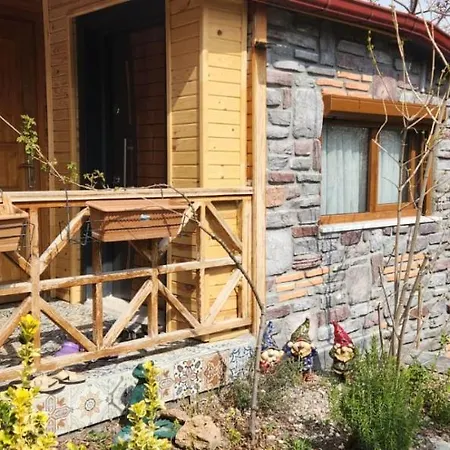 Lejlighed Silenos Stone House Konya